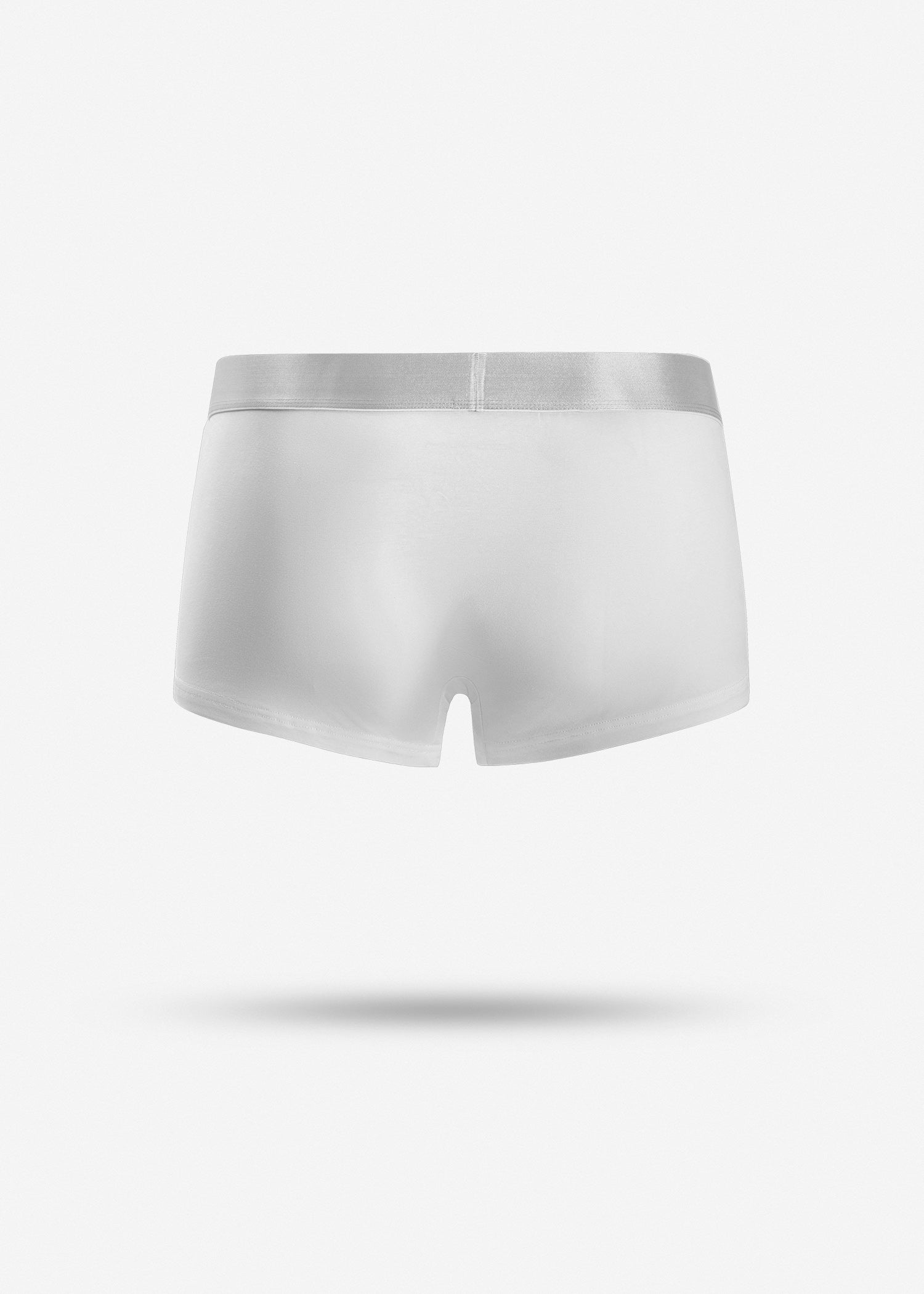 Men’s Boxer Briefs 2514101